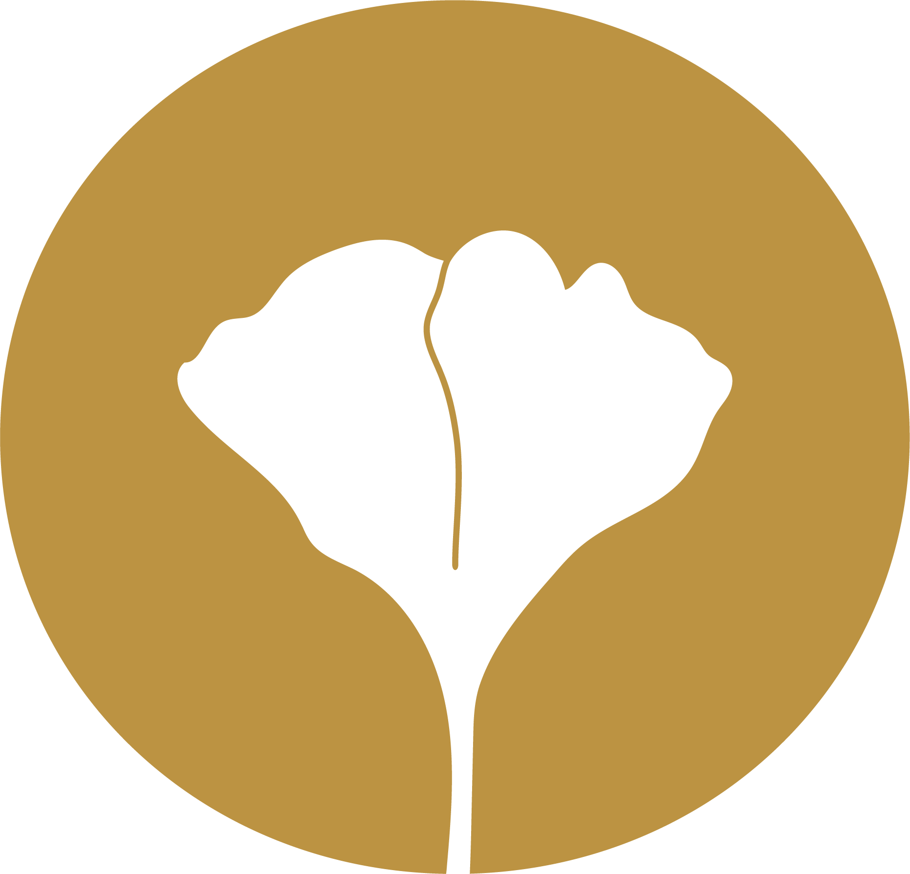Flor Florescer em círculo dourado