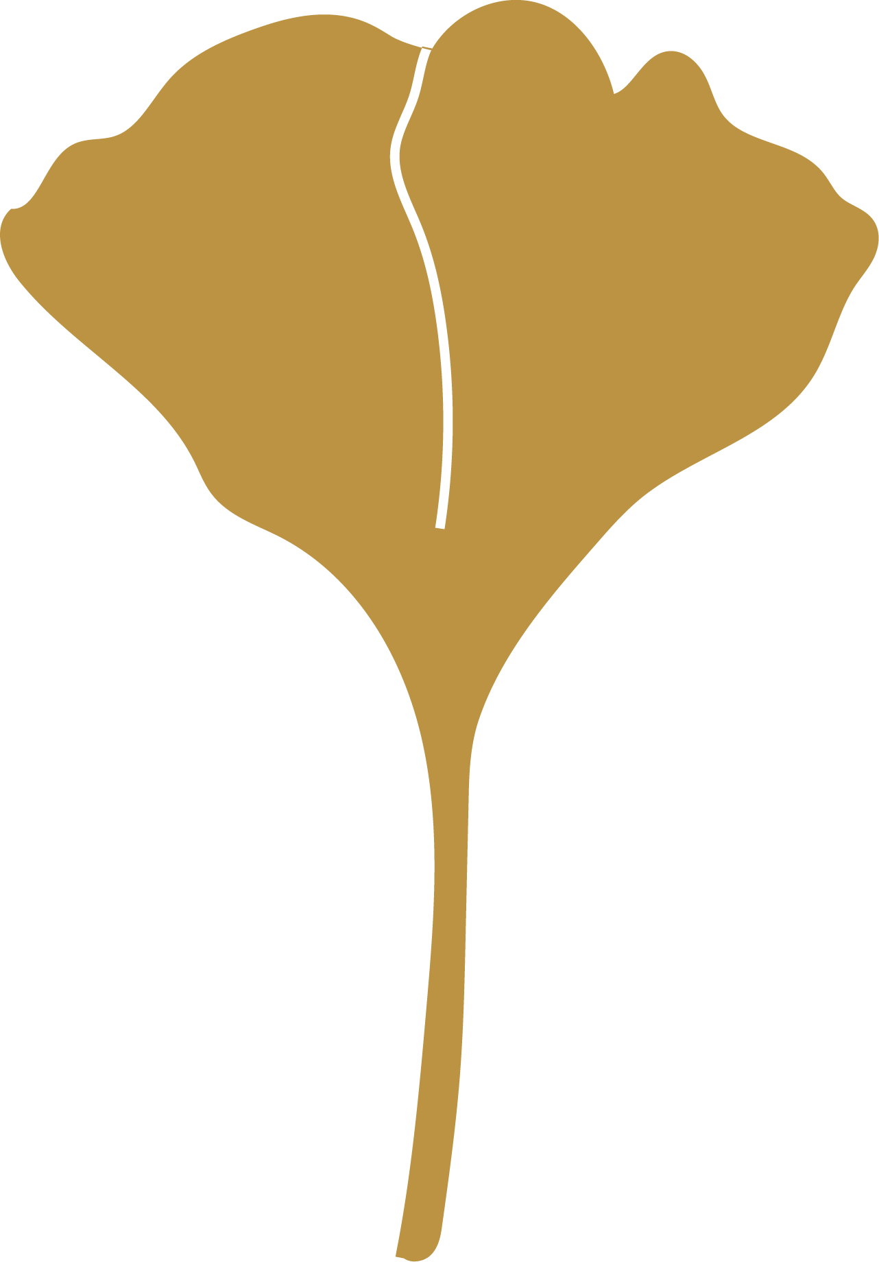 Flor, símbolo de Luana Uchôa